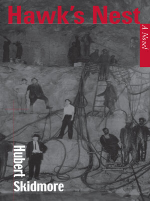 cover image of Hawk's Nest